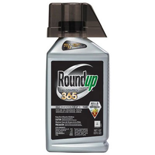 ROUNDUP MAX CONTROL 365 CONCENTRATE, 32-OUNCE (WEED KILLER PLUS WEED PREVENTER) - 