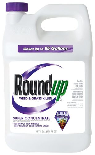 ROUNDUP WEED AND GRASS KILLER SUPER CONCENTRATE 1 GALLON - Weed killer