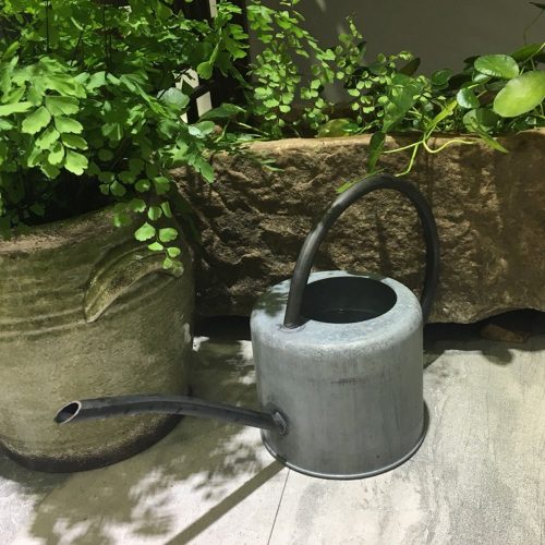 Calunce rustic retro textured gardening tools long-spout watering can (Green)