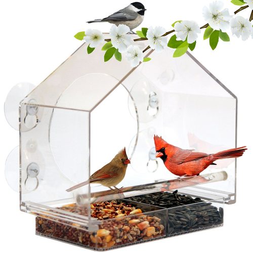 Window Bird Feeder by Nature Anywhere (Size: Large). GIFT EDITION. Includes Free, Easy Removable Tray, 4 Heavy Duty Suction Cups, Drain Holes & Gorgeous Packaging