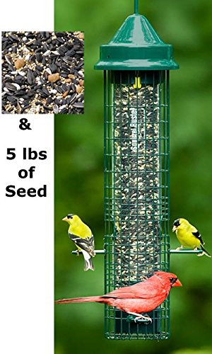 Squirrel Buster Classic 5.3"x5.3"x32" (w/hanger) Wild Bird Feeder with 4 Feeding Ports, 2.4lb Seed Capacity