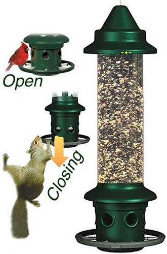Squirrel Buster Plus 6"x6"x28" (w/hanger) Wild Bird Feeder with Cardinal Ring and 6 Feeding Ports, 5.1lb Seed Capacity