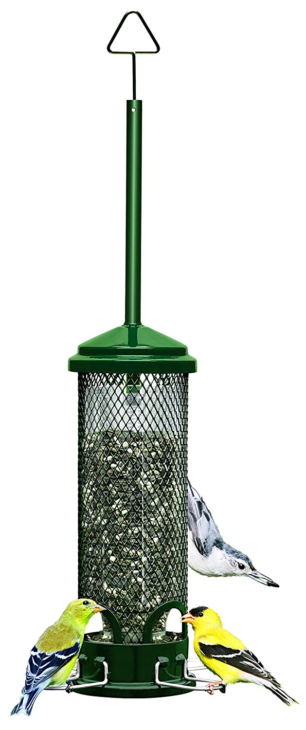 Squirrel Buster Mini 4.4"x4.4"x21" (w/hanger) Wild Bird Feeder with 4 Metal Perches, 1.3lb Seed Capacity