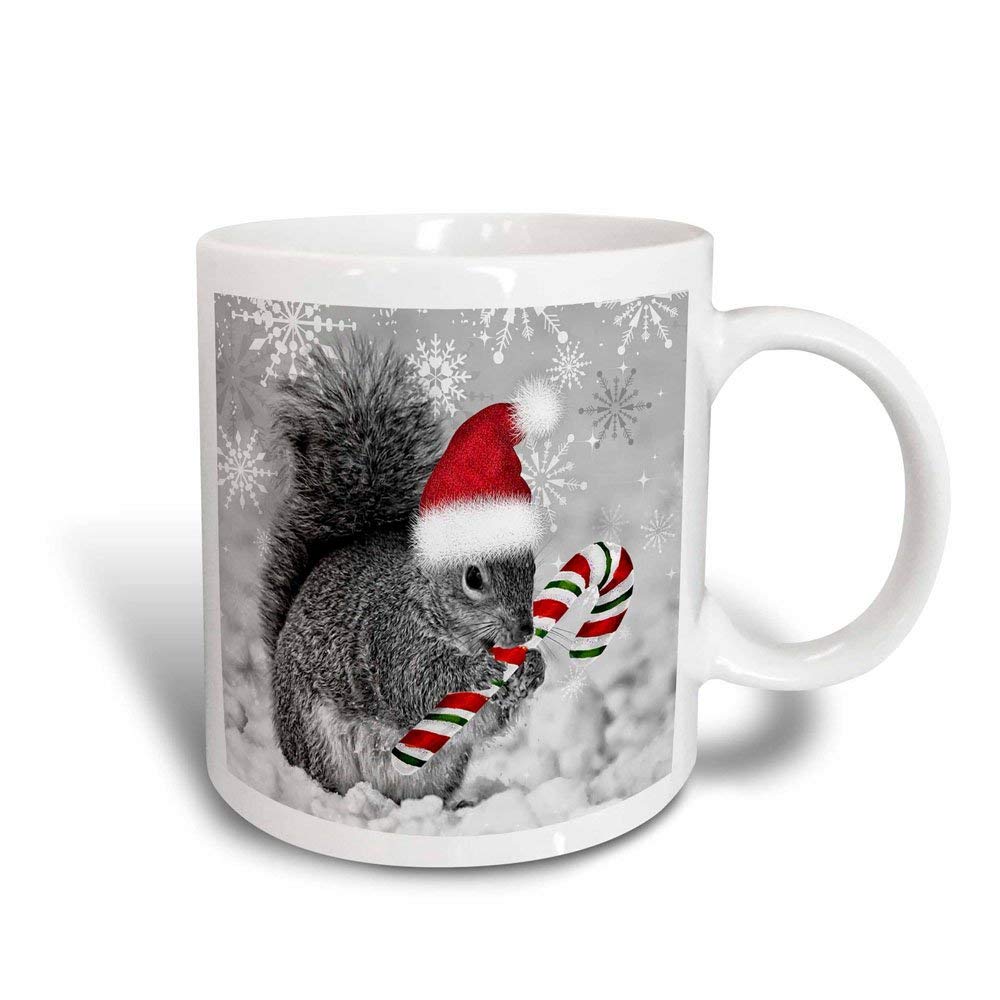 3dRose mug_150177_3 This Cute Christmas Squirrel Has Candy Cane and Santa Hat in The Snow Covered Winter Landscape Magic Transforming Mug, 11-Ounce - Christmas Mugs