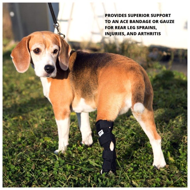  JunoPets Dog Canine Rear Leg Knee Brace