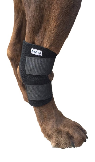 Buddy Products Labra Co. Dog Canine Rear Leg Hock Joint Wrap Protects Wounds