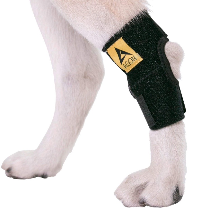  Agon Dog Canine Rear Hock Joint Brace Compression Wrap