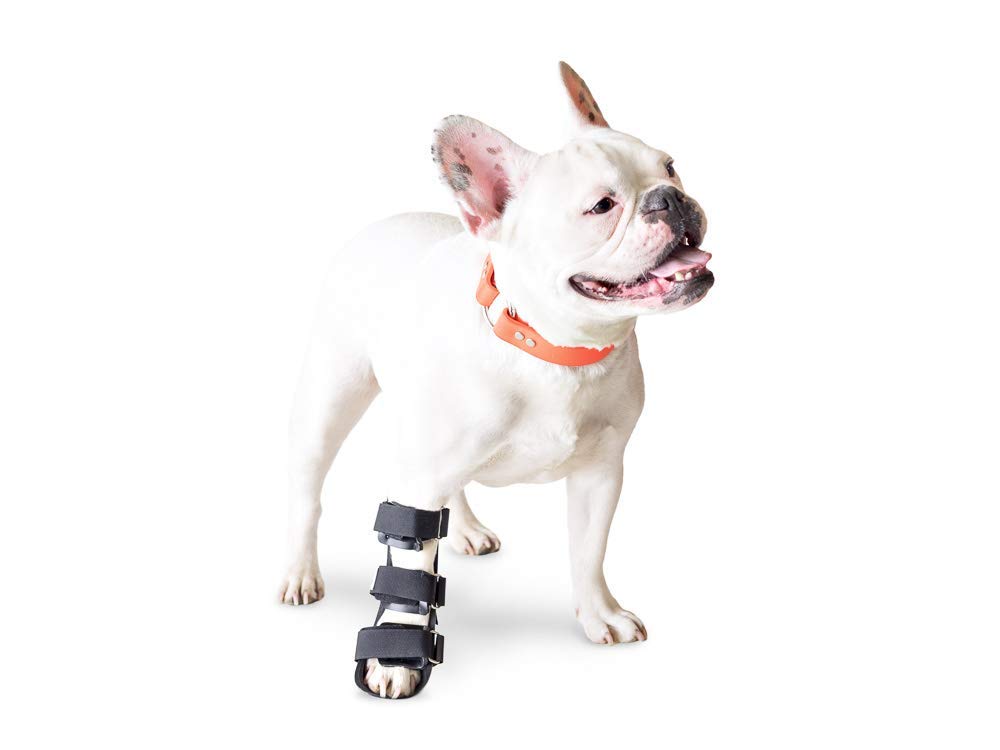 Walkin' Pet Splint for Dogs, Canine Front Leg