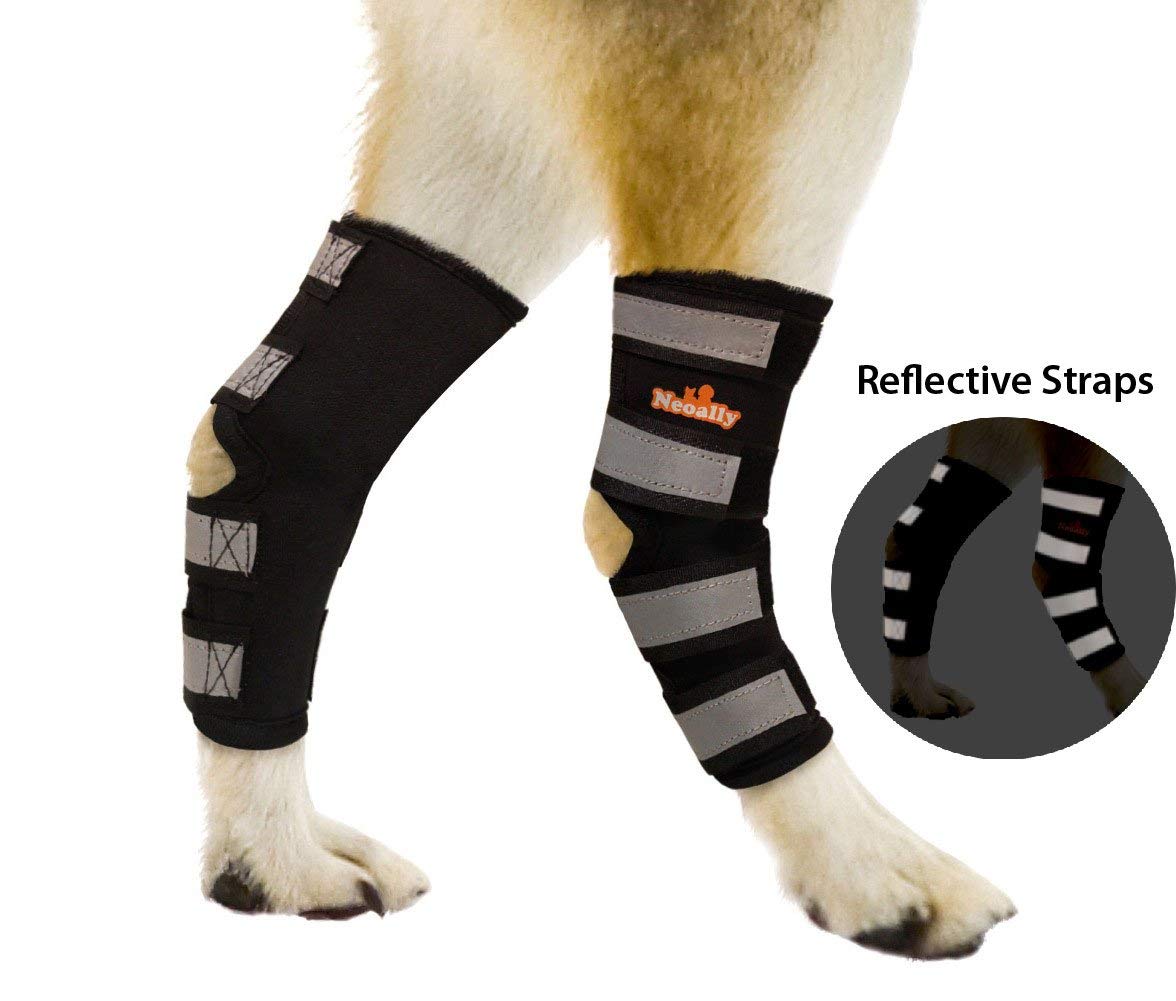 NeoAlly Dog Rear Leg Braces [Pair]