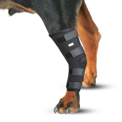 IN HAND Dog Leg Brace, Pair of Dog Canine Rear Leg Hock Joint Wraps Protects Wounds 