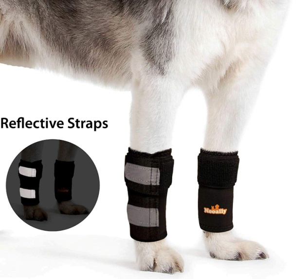  NeoAlly Pair Dog & Cat Front Leg Braces Carpal Support Safety Reflective Straps Front Hock Joint