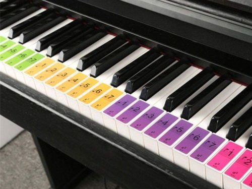 Beginner Piano Keyboard