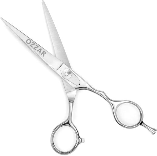 Professional Barber scissors by Ozzar International
