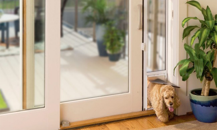 Top 10 Sliding Glass Dog Doors In 2021, What Is The Best Dog Door For Sliding Glass