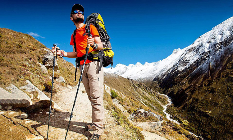 Trekking Poles for Hiking and Walking